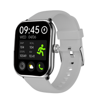 Motion GPS - Prata